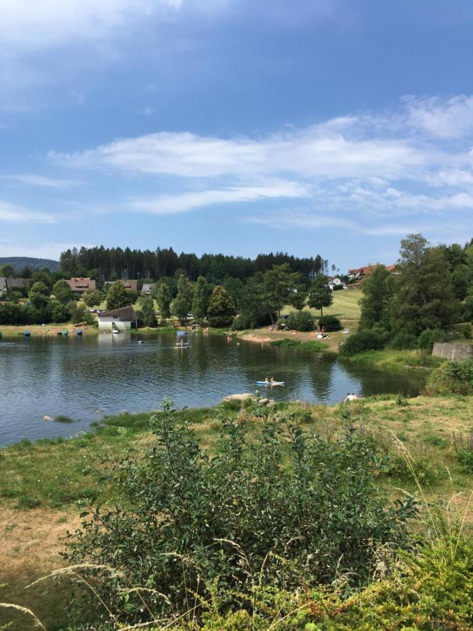 Zu Hause Am See - Pool, Sauna, Fitnessraum Schluchsee Exteriör bild