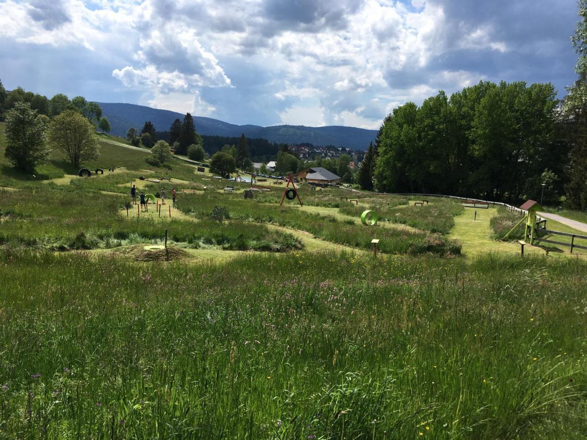 Zu Hause Am See - Pool, Sauna, Fitnessraum Schluchsee Exteriör bild